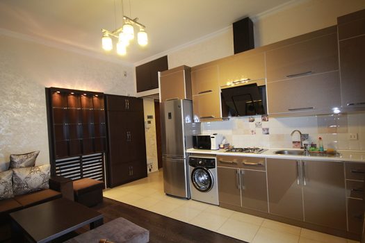 Cozy 1 bedroom apartment