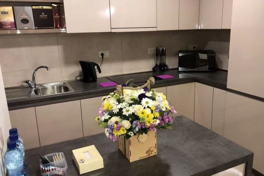 North Avenue 2 bedroom luxe apartment