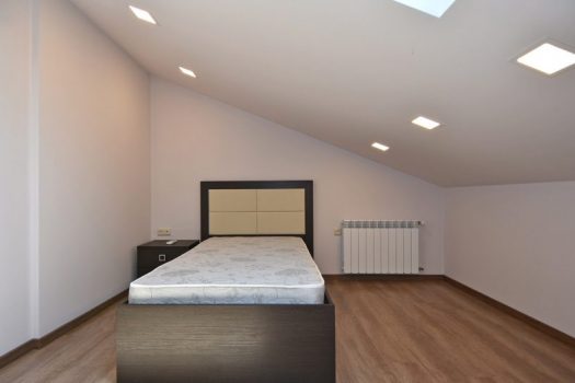 Duplex 3-bedroom apartment in Downtown