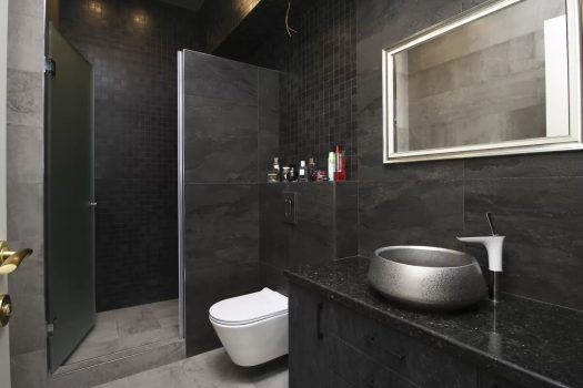 Luxurious renovated apartment in new building