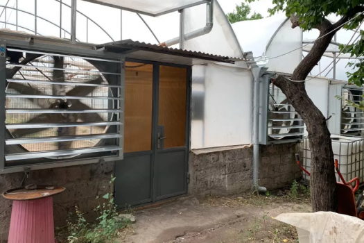 Greenhouse for sale in Arinj