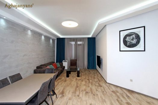 2 room apartment in the center of the city